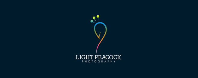 hình ảnh chim công trong thiết kế của light peacock