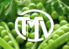 Thiết kế logo thương hiệu Nông sản TMV