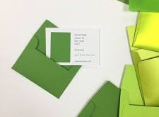 “Greenery” là màu sắc chủ đạo trong năm 2017